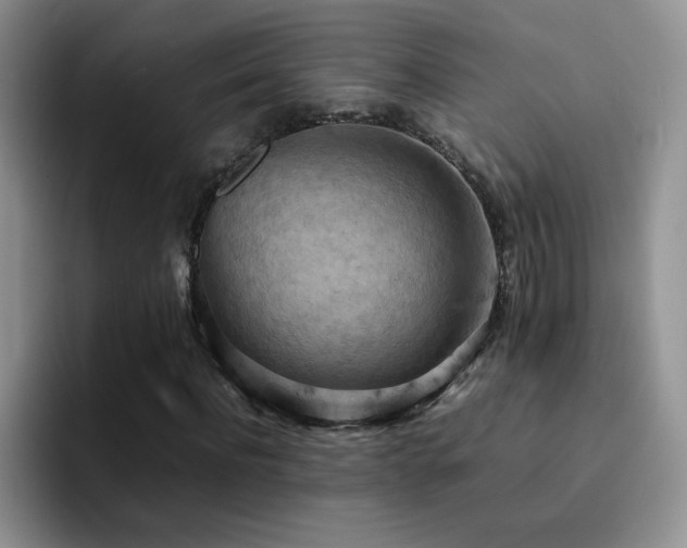 X0000092220916200709141041