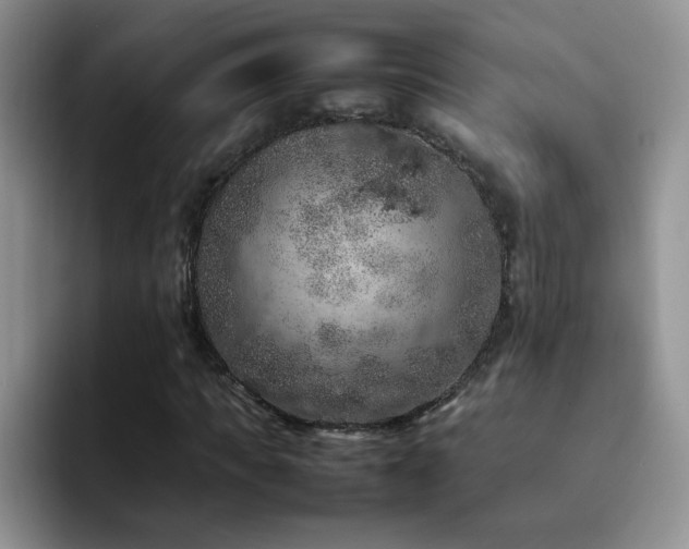 X0000092220917200709141041