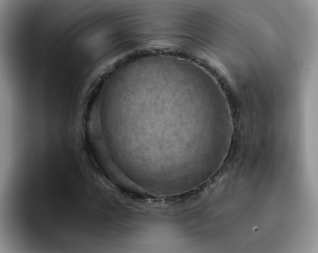 X0000092220920200709141041