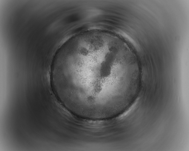 X0000092220921200709141041