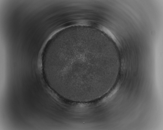 X0000092220923200709141041