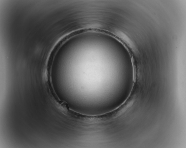 X0000092220924200709141041