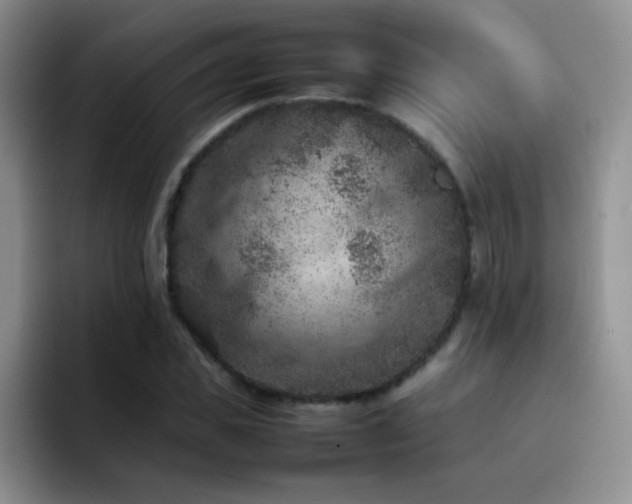 X0000092220925200709141041