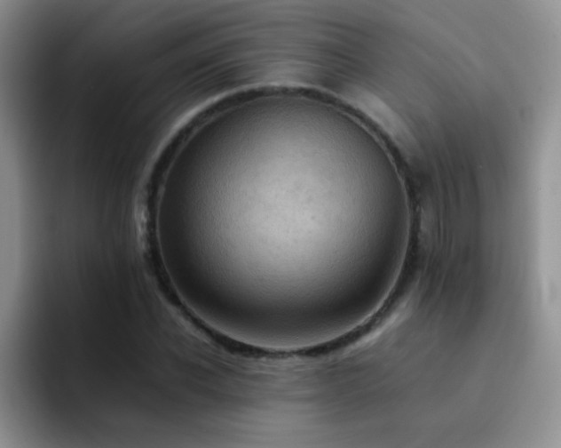 X0000092220926200709141041