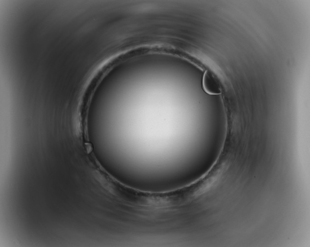 X0000092220927200709141041