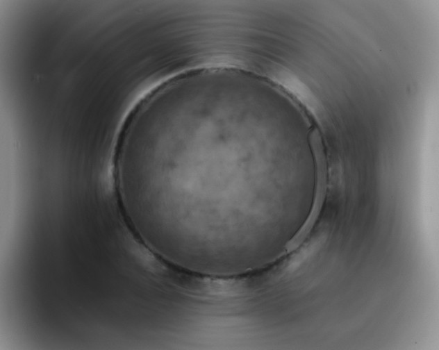 X0000092220928200709141042