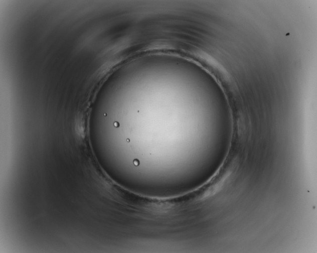 X0000092220929200709141042