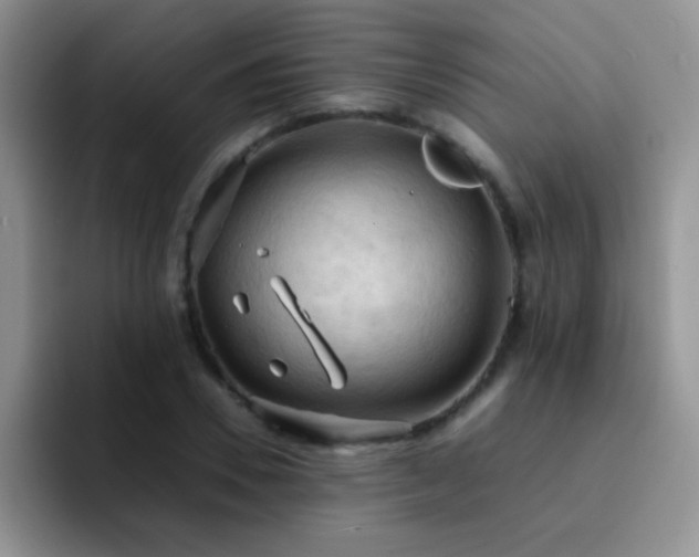 X0000092220930200709141042
