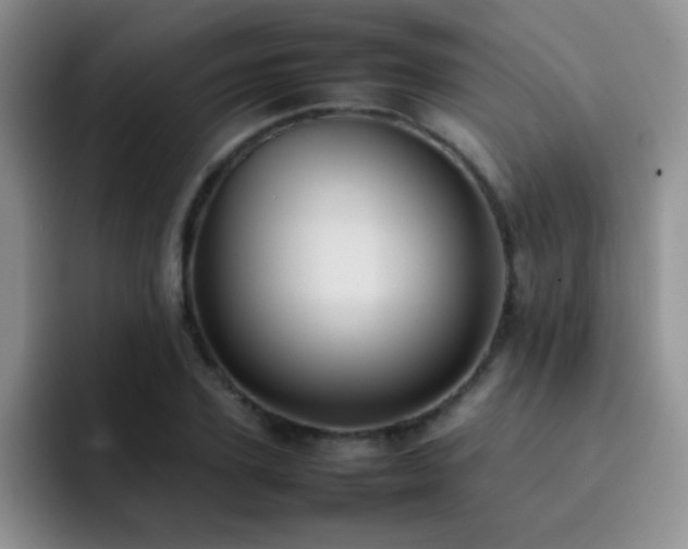X0000092220931200709141042