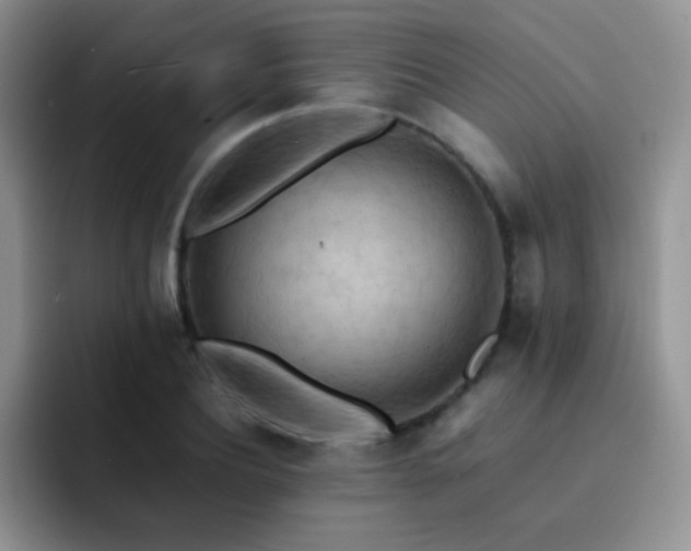 X0000092220932200709141042