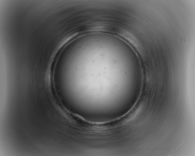 X0000092220933200709141042