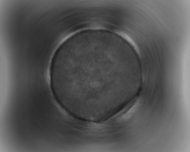 X0000092220935200709141042