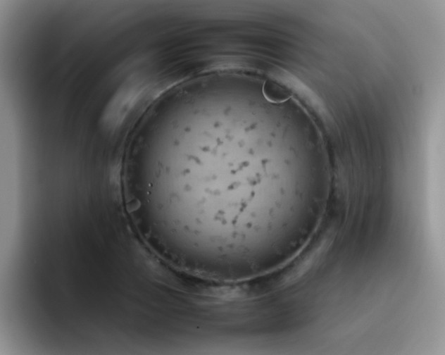 X0000092220937200709141042