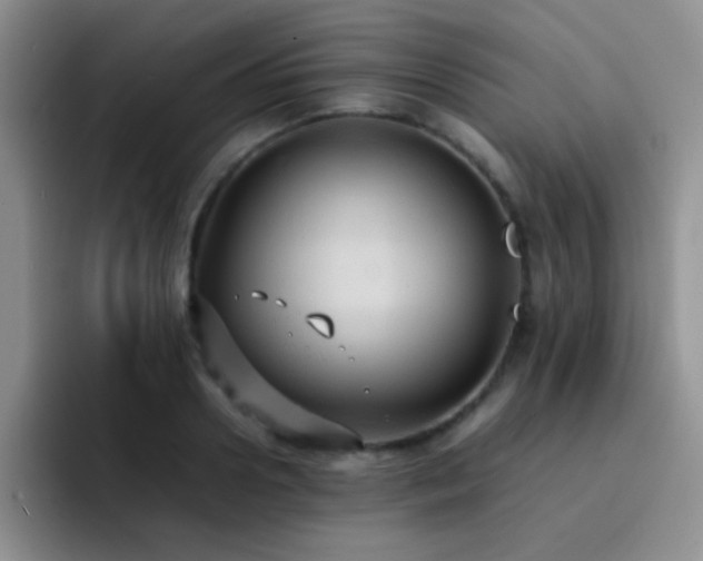 X0000092220938200709141042