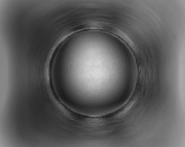 X0000092220939200709141042