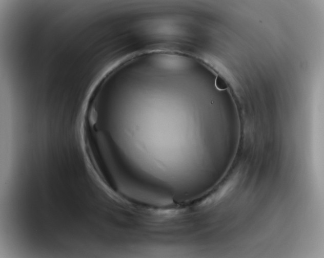 X0000092220941200709141042