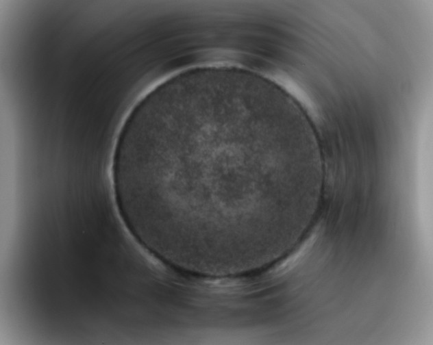 X0000092220943200709141042
