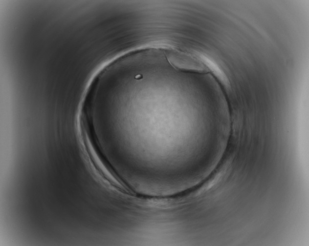 X0000092220944200709141042