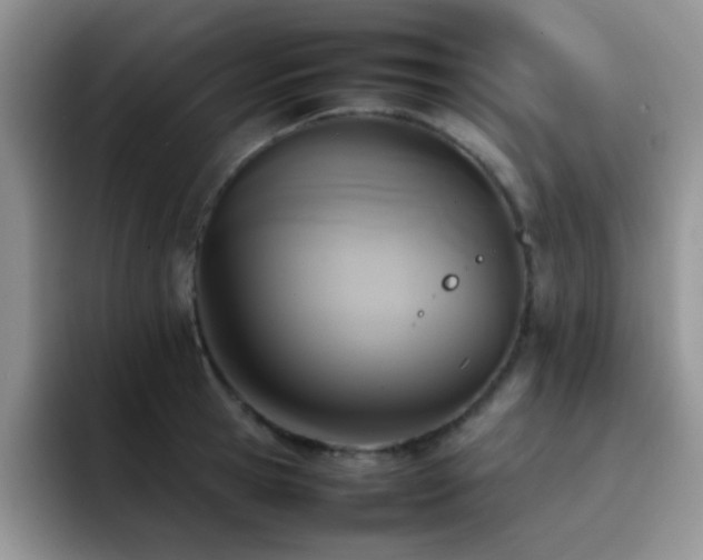 X0000092220945200709141042