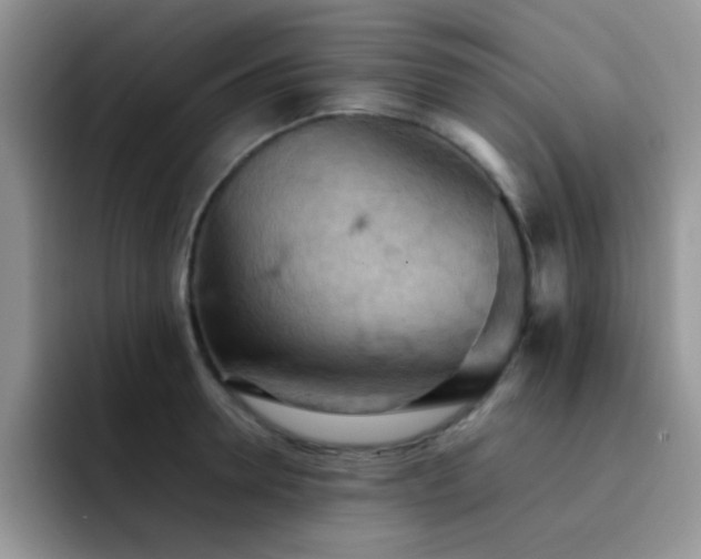 X0000092220946200709141042