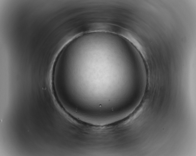 X0000092220949200709141042