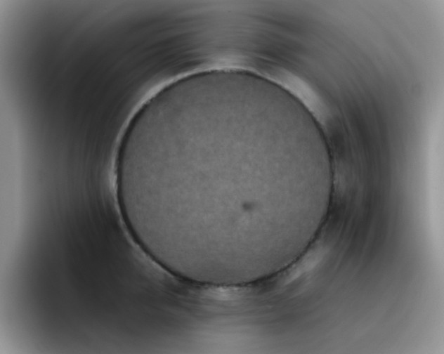 X0000092220950200709141042
