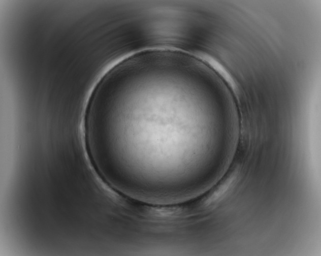 X0000092220951200709141042