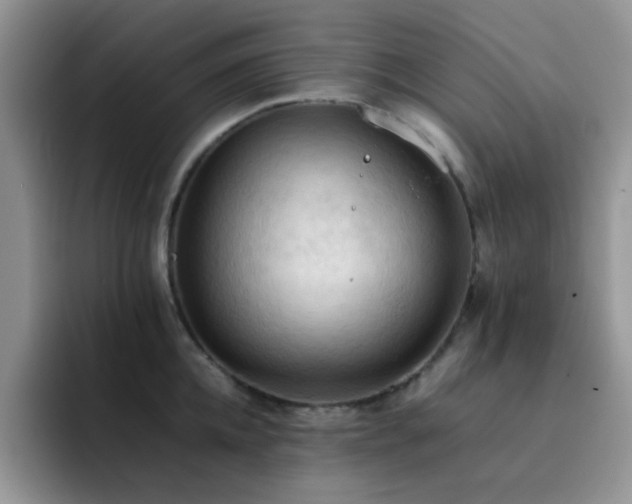 X0000092220952200709141042