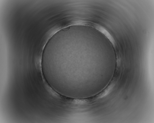 X0000092220954200709141042