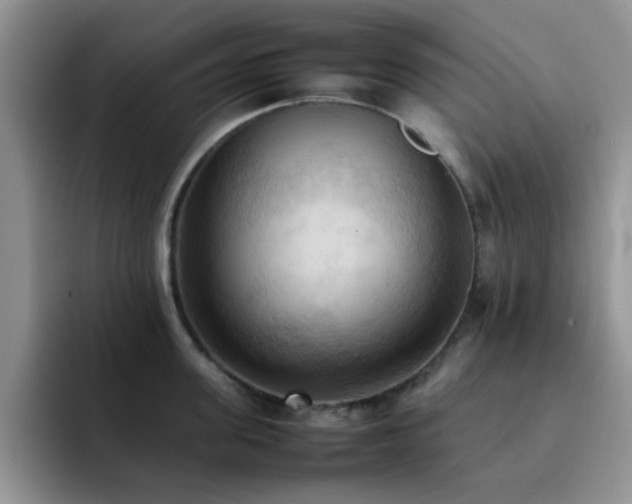X0000092220955200709141042