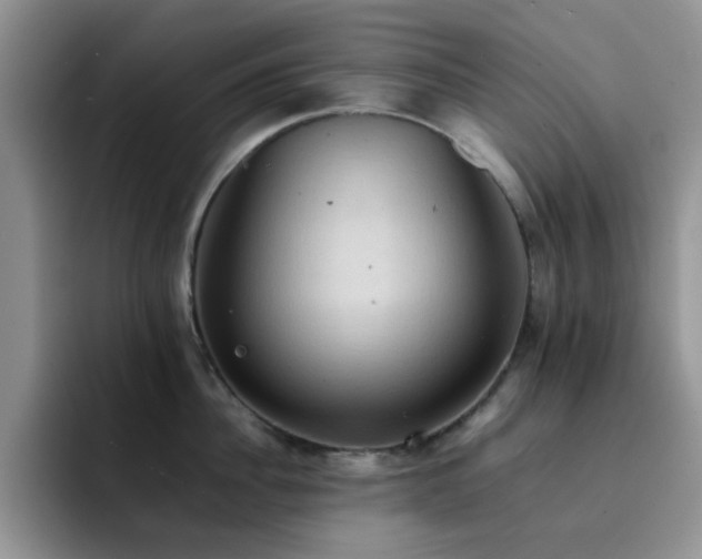 X0000092220956200709141042