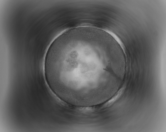 X0000092220957200709141042