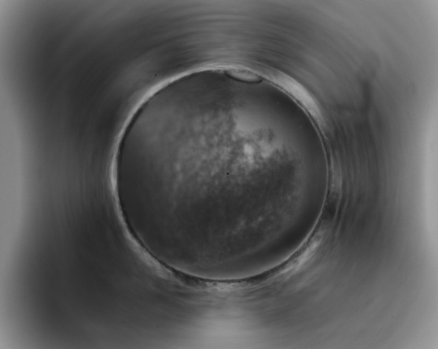 X0000092220958200709141042