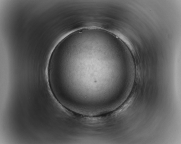 X0000092220959200709141042