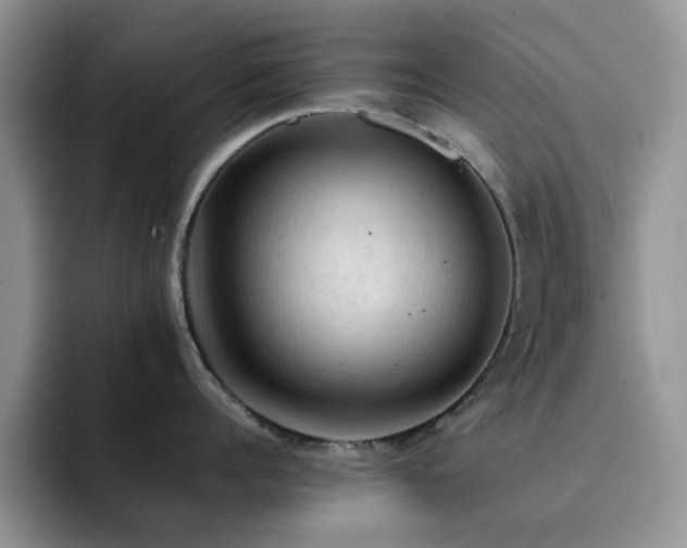 X0000092220960200709141042