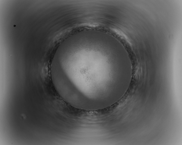 X0000092220966200709141041