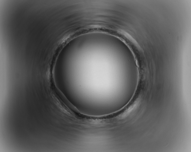 X0000092220969200709141041