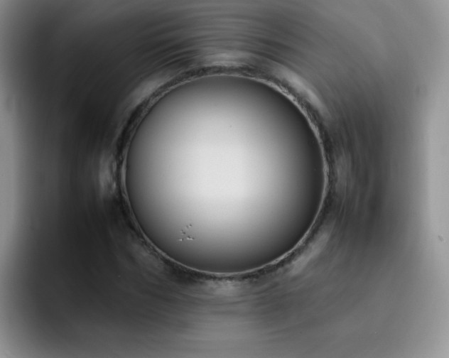 X0000092220970200709141041
