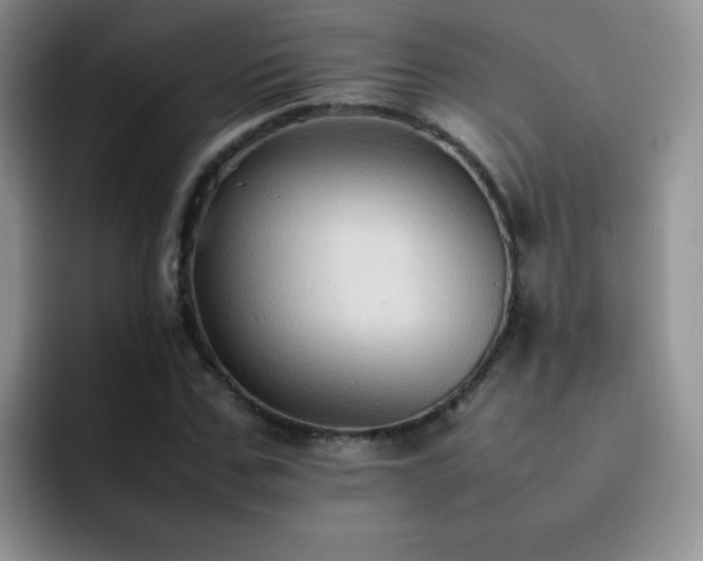 X0000092220971200709141041