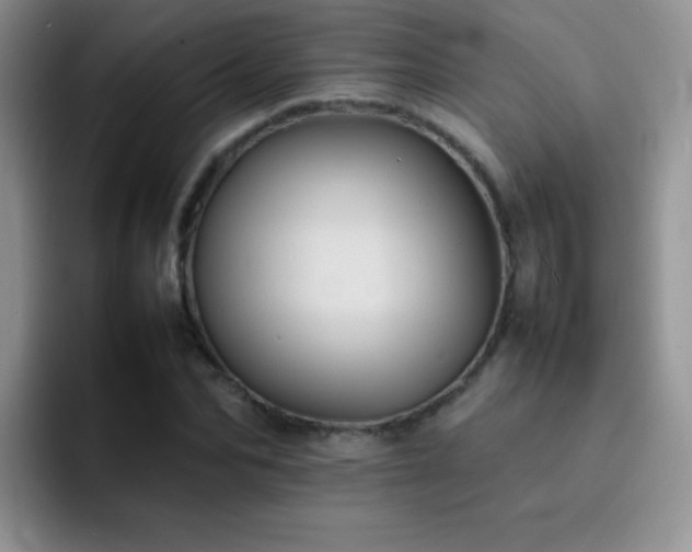 X0000092220974200709141041