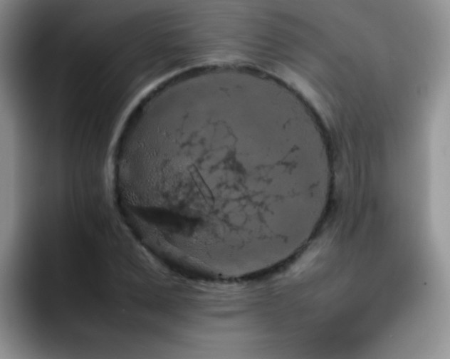 X0000092220975200709141041