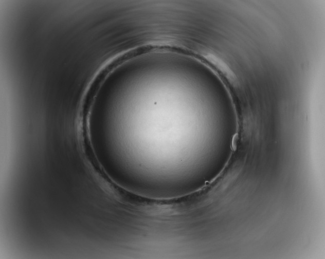 X0000092220976200709141041