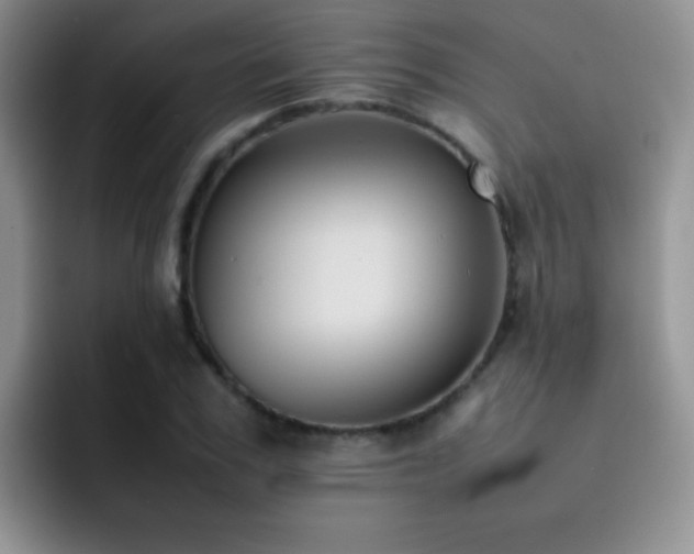 X0000092220979200709141041