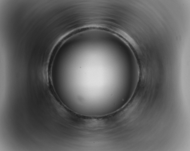 X0000092220980200709141041