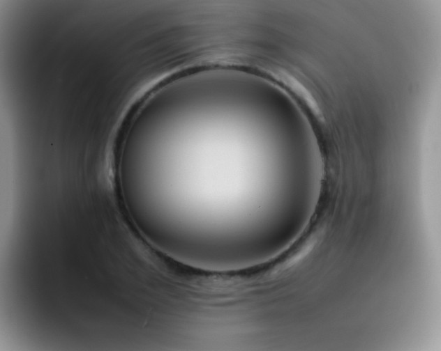 X0000092220981200709141041