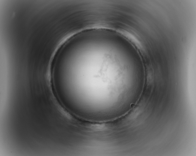 X0000092220990200709141041