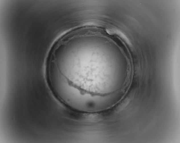 X0000092220991200709141041