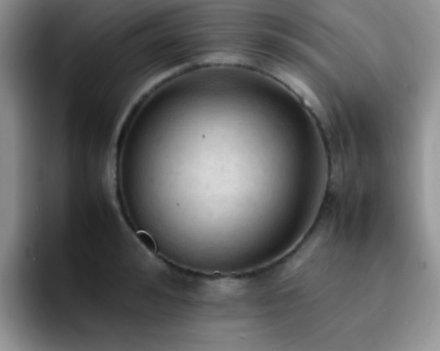 X0000092220992200709141041