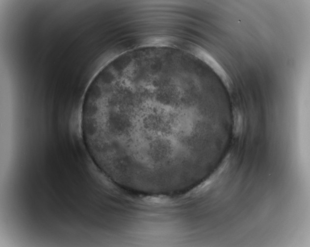 X0000092220994200709141041