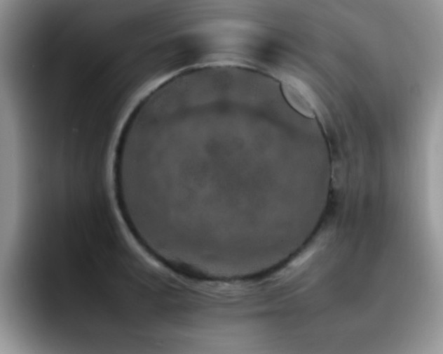 X0000092220995200709141041